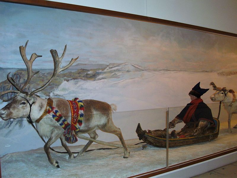 Nordkap 2009 272.jpg